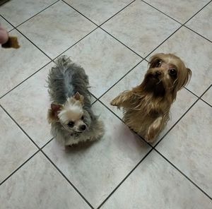 Meet your Posher, Christy